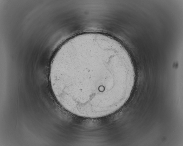 X0000088901314200707061445