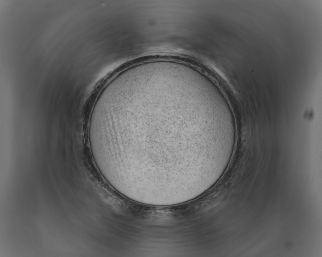 X0000088901315200707061445