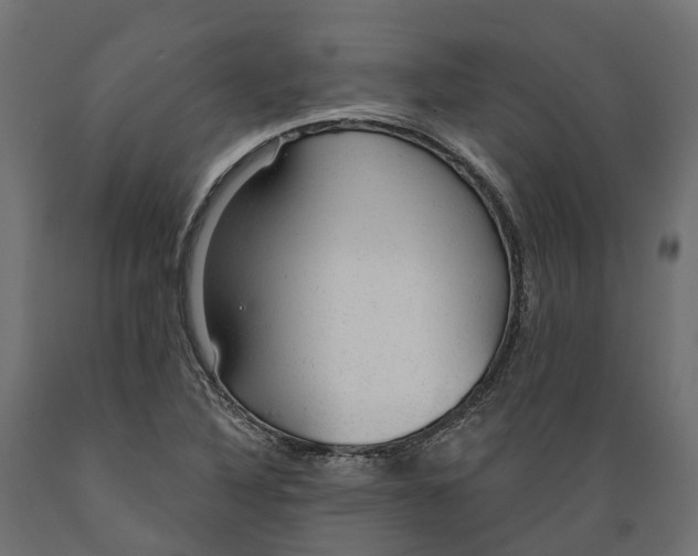 X0000088901316200707061445