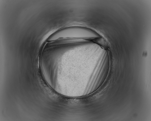 X0000088901317200707061446