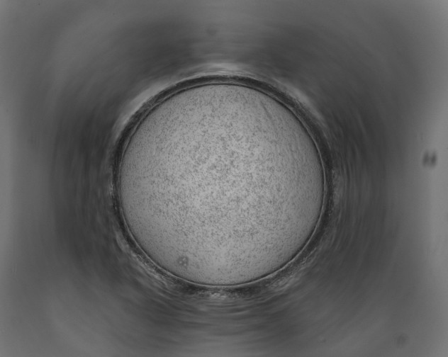 X0000088901318200707061446