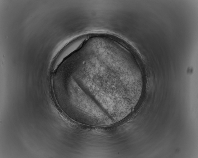 X0000088901319200707061446