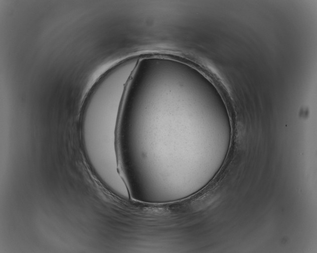 X0000088901320200707061446