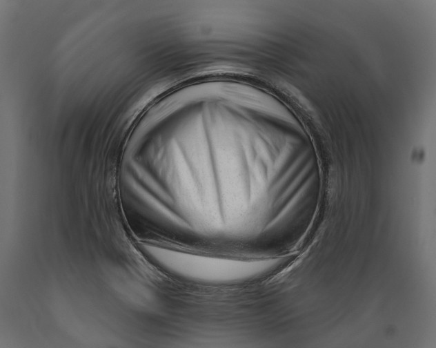 X0000088901321200707061446