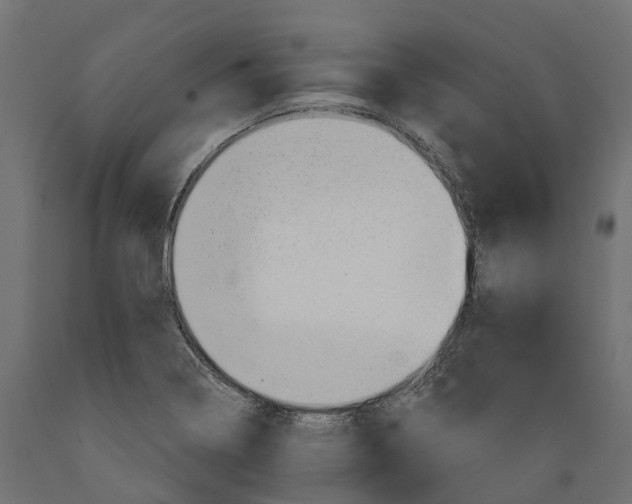 X0000088901322200707061446