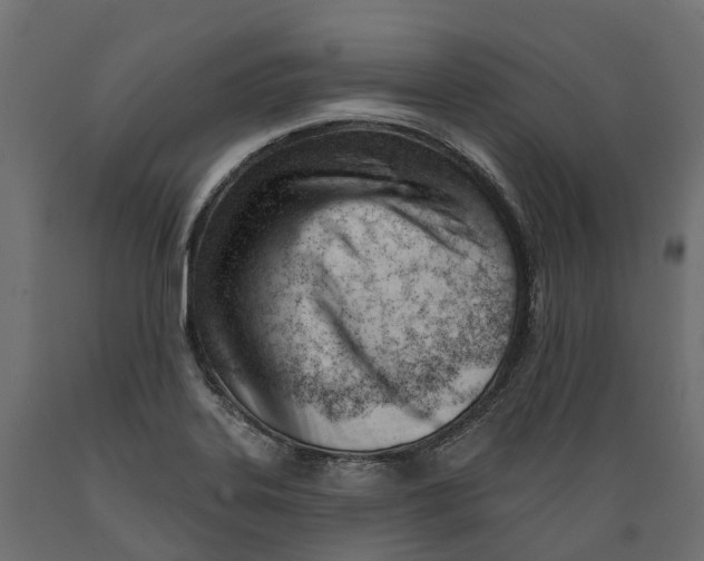 X0000088901323200707061446