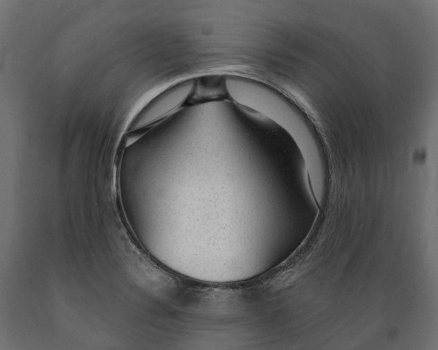 X0000088901324200707061446