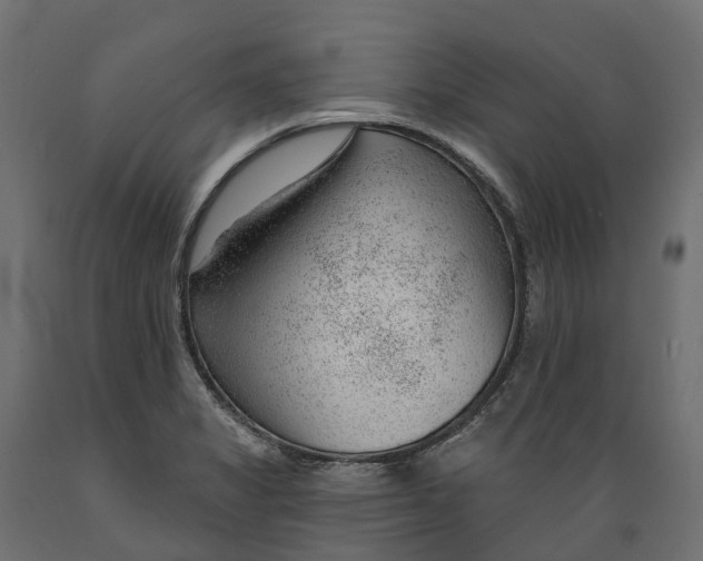 X0000088901325200707061446