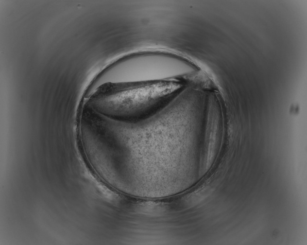 X0000088901327200707061446