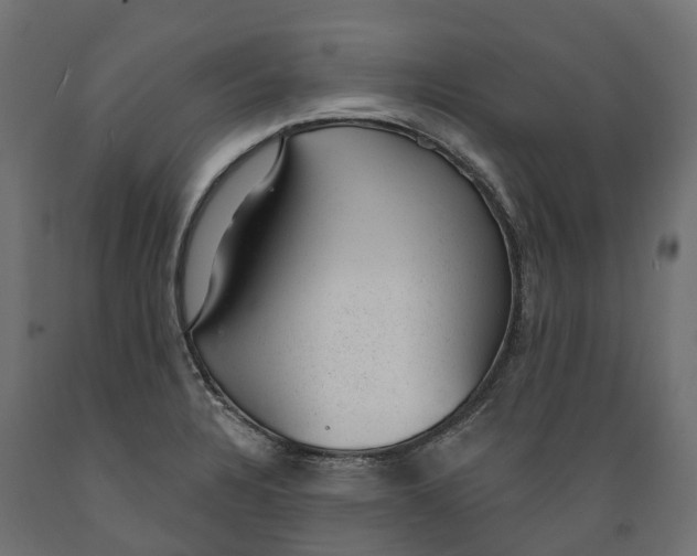 X0000088901328200707061446