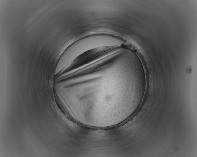 X0000088901329200707061446