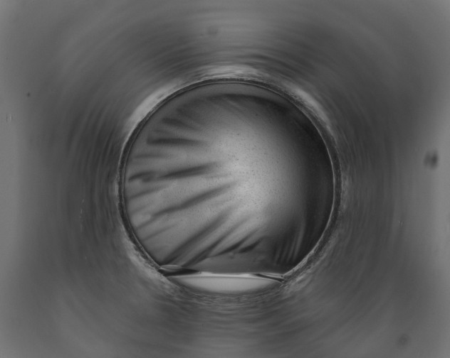 X0000088901330200707061446