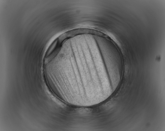 X0000088901331200707061446