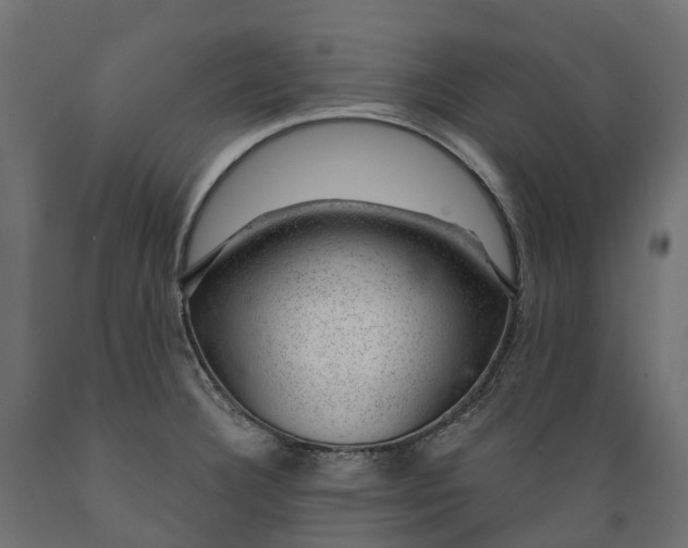 X0000088901332200707061446