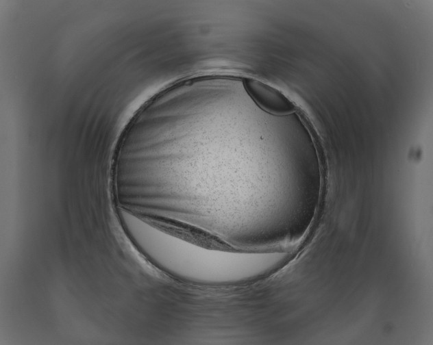 X0000088901333200707061446