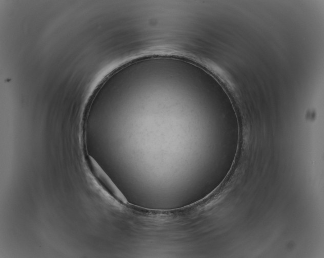 X0000088901334200707061446