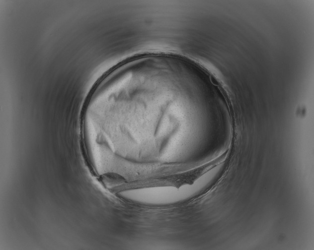 X0000088901335200707061446