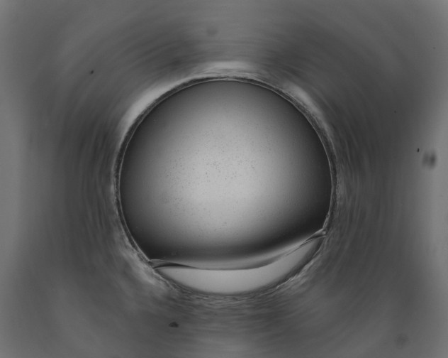 X0000088901336200707061446