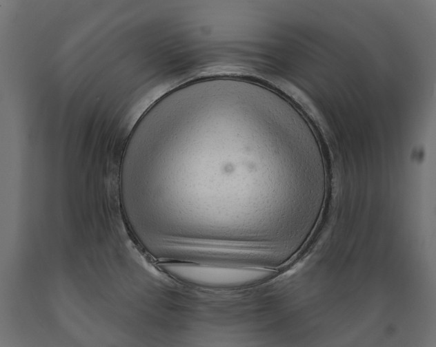 X0000088901337200707061446