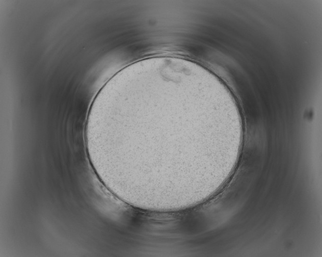 X0000088901338200707061446