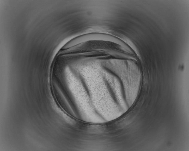 X0000088901339200707061446