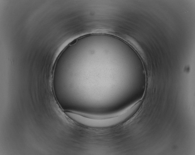 X0000088901340200707061446