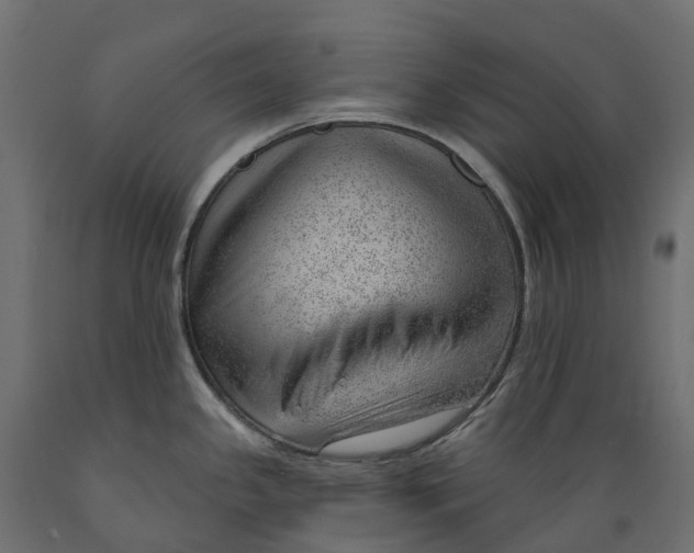 X0000088901341200707061446