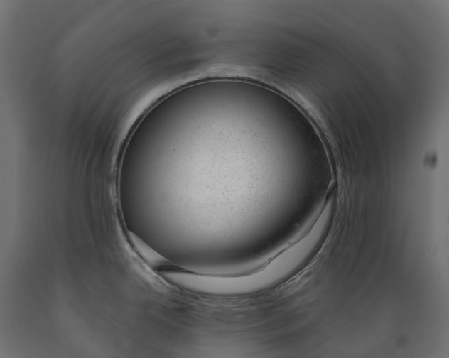 X0000088901342200707061446