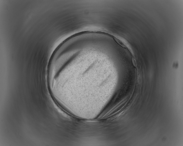 X0000088901343200707061446