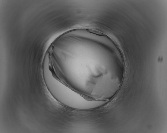 X0000088901344200707061446