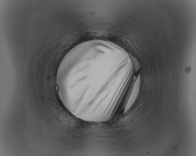 X0000088901345200707061445