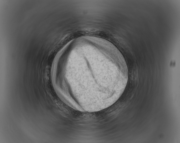 X0000088901346200707061445