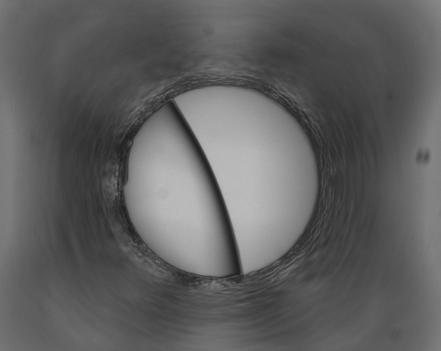 X0000088901348200707061445