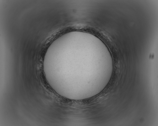 X0000088901349200707061445