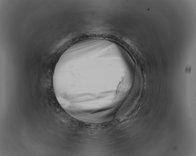 X0000088901350200707061445