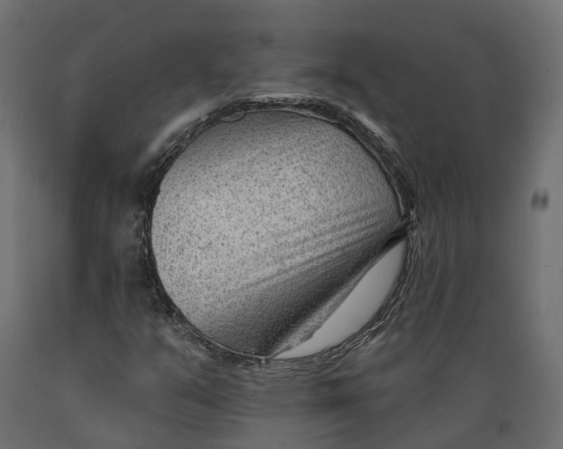 X0000088901351200707061445