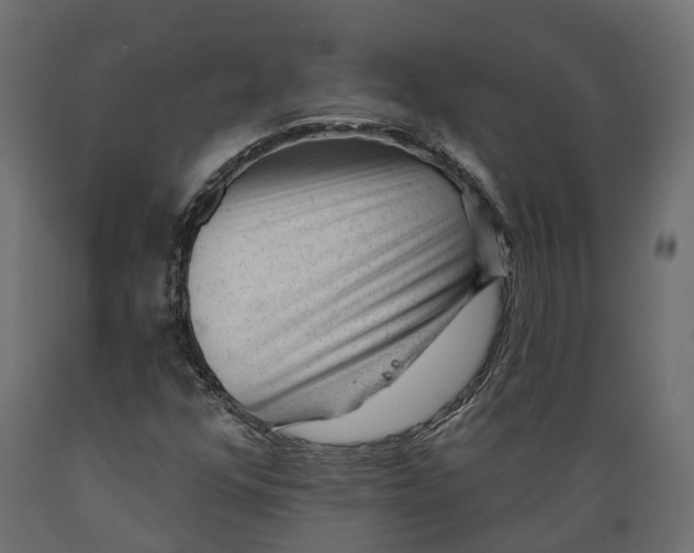 X0000088901352200707061445