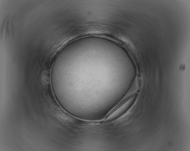 X0000088901353200707061445