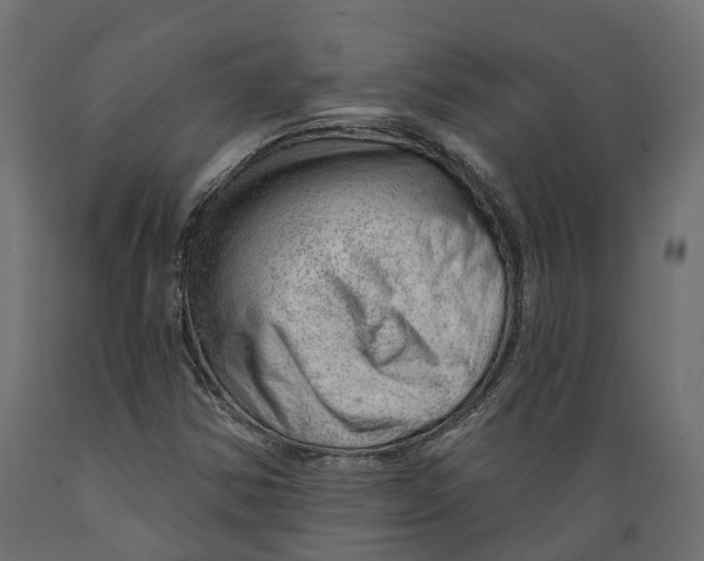 X0000088901354200707061445