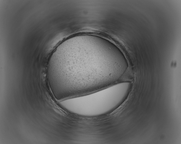 X0000088901355200707061445