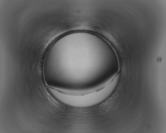 X0000088901356200707061445