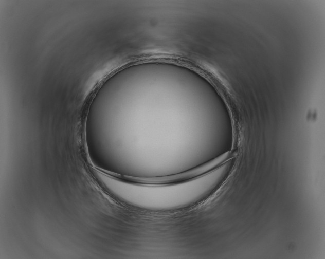 X0000088901357200707061445