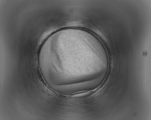 X0000088901358200707061445