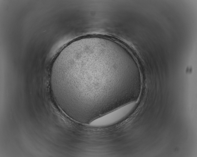 X0000088901359200707061445