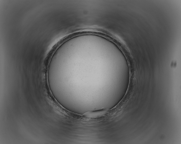 X0000088901360200707061445