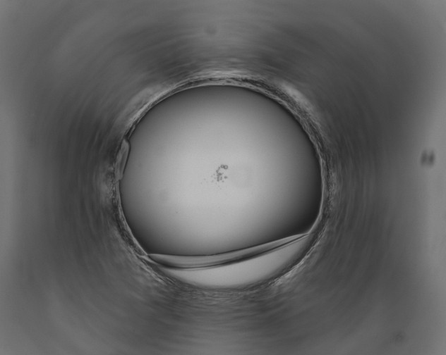 X0000088901361200707061445