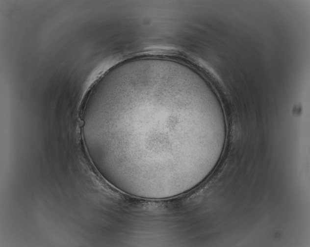 X0000088901362200707061445