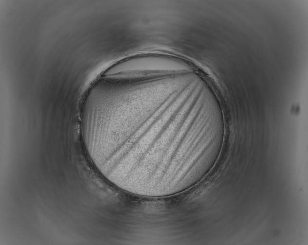 X0000088901363200707061445