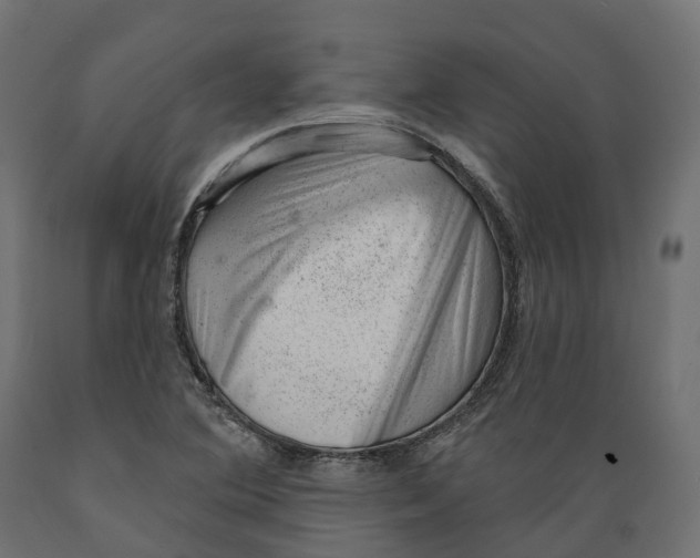 X0000088901364200707061445