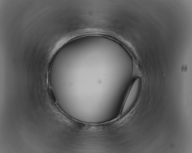 X0000088901365200707061445